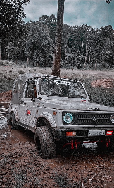 而纽卡的战 而纽卡的战