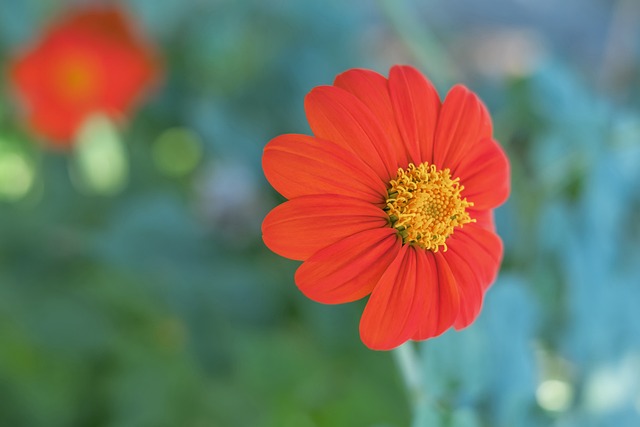 多的期待 多的期待