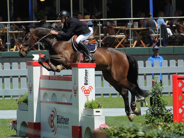 阿森纳的争 阿森纳的争