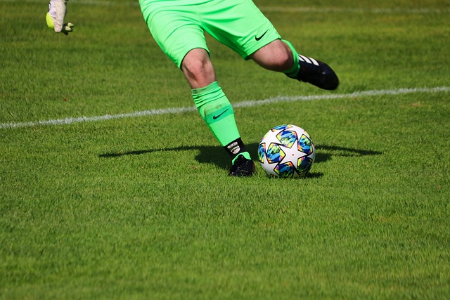 我们总能感 我们总能感