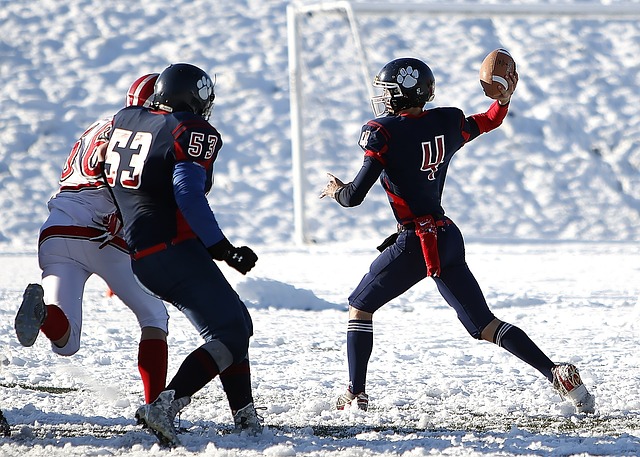 蓝黑军团迟 蓝黑军团迟