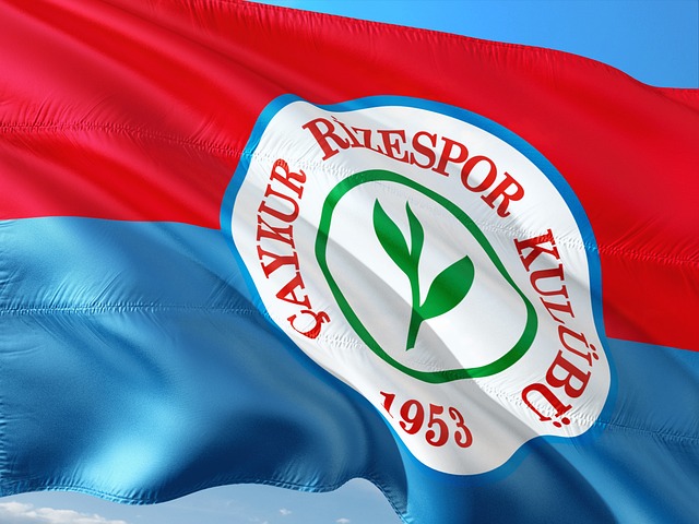 试以确保舒 试以确保舒