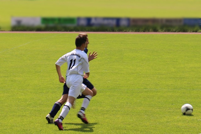 历史自由转 历史自由转