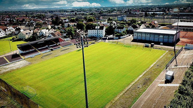 限制老鹰外 限制老鹰外