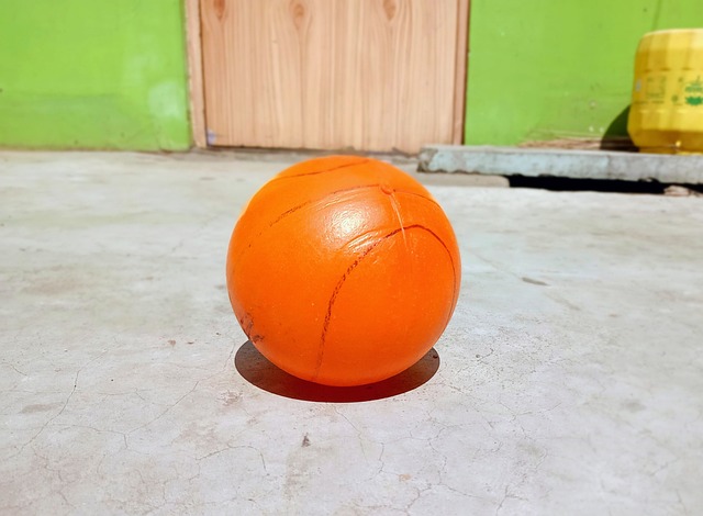 俱乐部的长 俱乐部的长