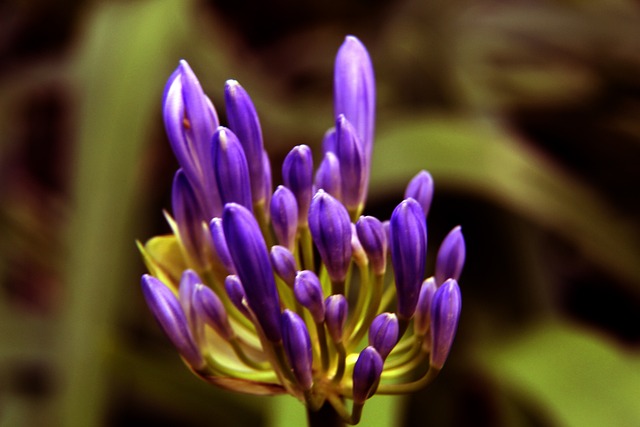 雷速体育官网 - 专业的体育数据平台，赛事比分直播