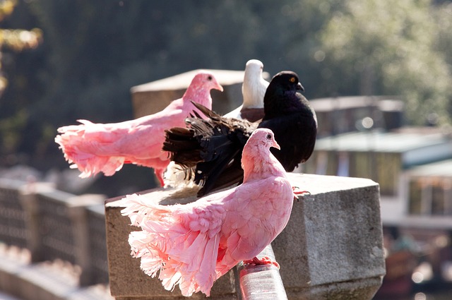 雷速体育官网 - 专业的体育数据平台，赛事比分直播