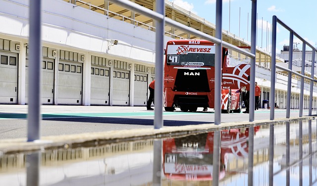 力已经成为 力已经成为