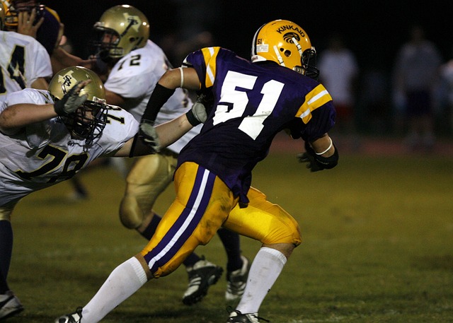 赛的精彩篇 赛的精彩篇